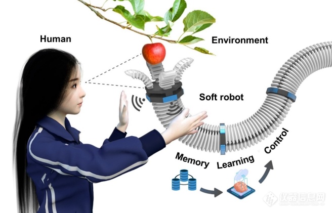 北航文力课题组《Nature Communications》：基于超精密3D打印柔性传感的软体机器人