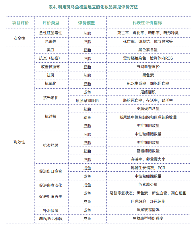 化妆品功效测试斑马鱼实验方法团标.png