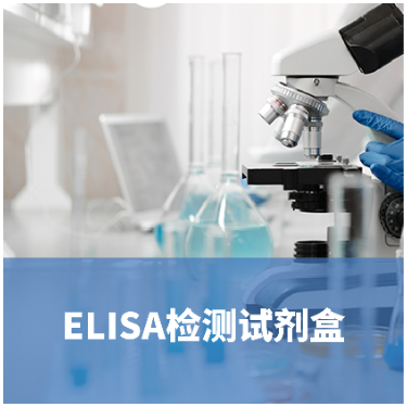 人钙联蛋白（calnexin）ELISA试剂盒