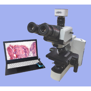 RCK-40C研究型正置生物显微镜/生物研究实验室显微镜
