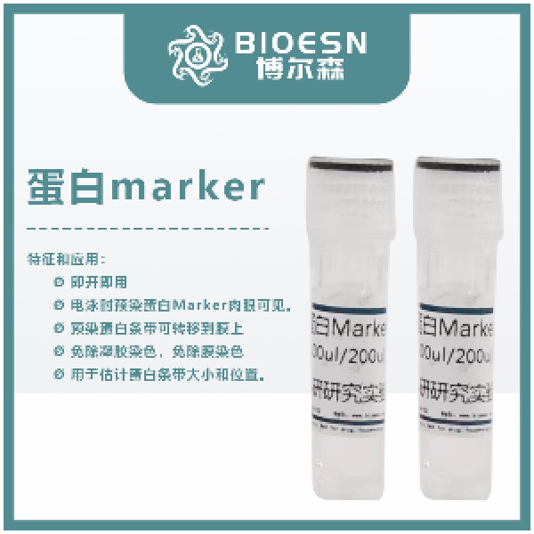 彩色预染宽范围蛋白marker（5-245 kDa）