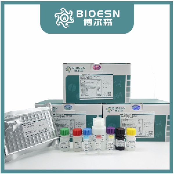 DNA产物纯化试剂盒