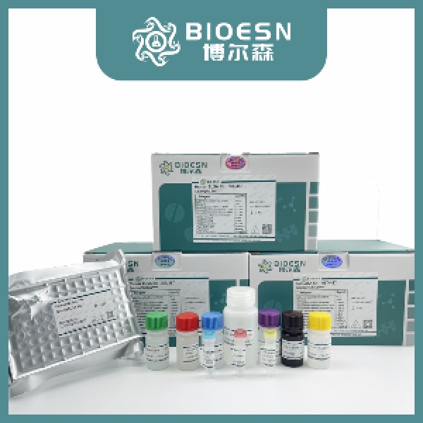 超敏二步法免疫组化检测试剂盒（小鼠）