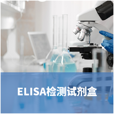 人泛素连接酶（E3/UBPL）ELISA试剂盒