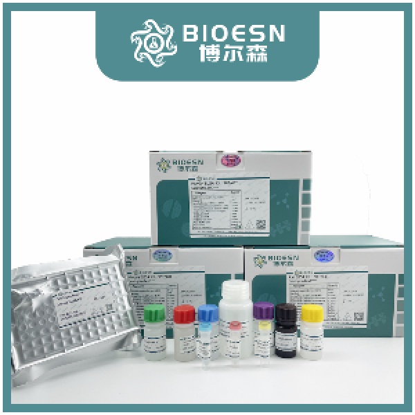 超敏二步法免疫组化检测试剂盒（兔）