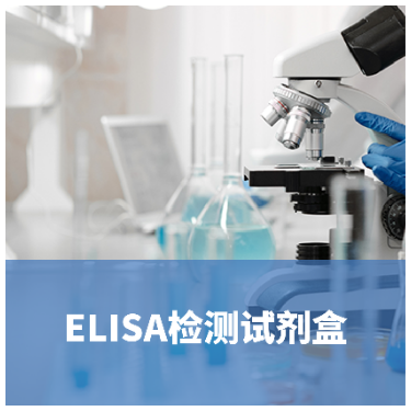 肿标多联检Elisa试剂盒（乳腺癌AFP、CEA、CA153、CA199）