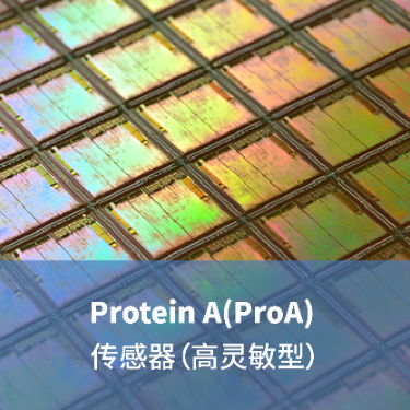 LifeDiscProtein A(ProA) 生物传感器