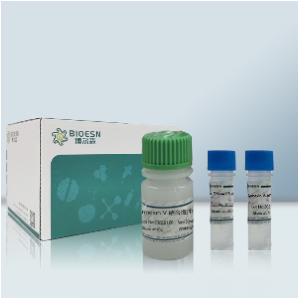 CFDA SE细胞增殖与示踪检测试剂盒