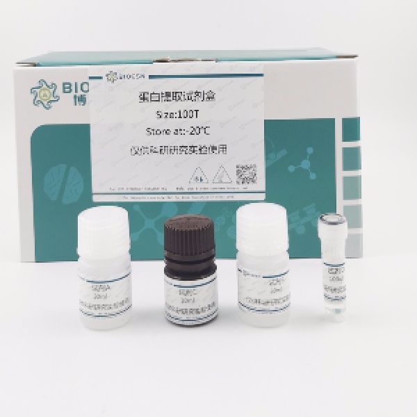 双缩脲法蛋白含量检测试剂盒