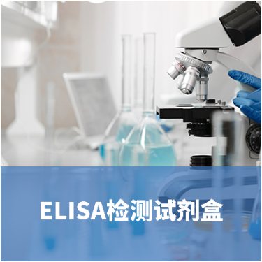 人乙酰胆碱（ACH）ELISA试剂盒