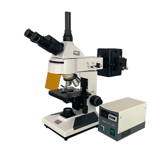 彼爱姆BM荧光显微镜XSP-BM-13C