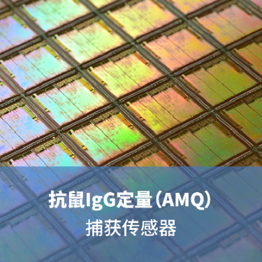 LifeDiscTM 抗鼠IgG定量（AMQ）捕获生物传感器