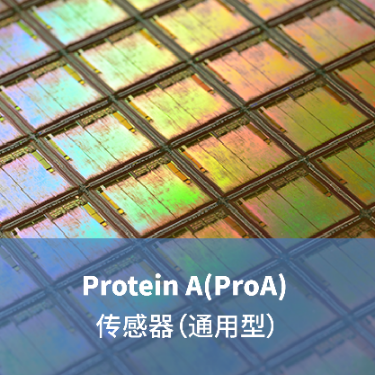 LifeDiscProteinA(ProA) 生物传感器