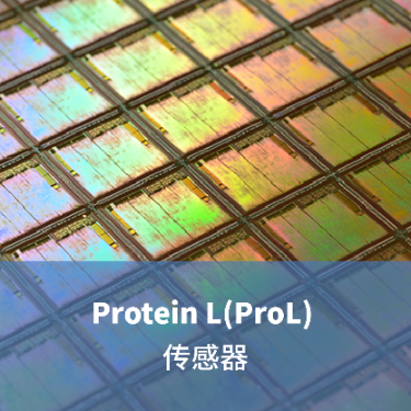 LifeDiscProteinL(ProL) 生物传感器