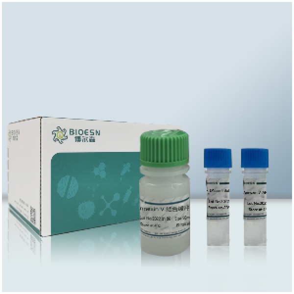 磷酸钙法细胞转染试剂盒