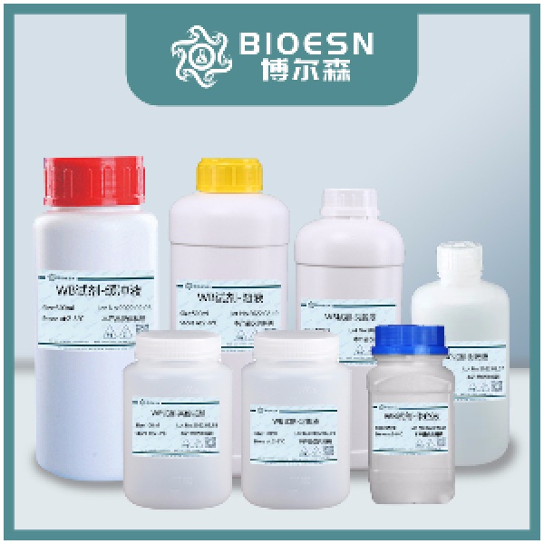 青霉素-链霉素-两性霉素B混合溶液(100×三抗)