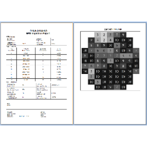 自动晶圆缺陷密度检查系统