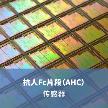 LifeDisc抗人Fc片段（AHC）生物传感器