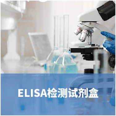 人25羟基维生素D3（25（OH）D3/25 HVD3）ELISA试剂盒