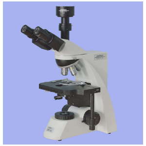 XSP-13CC电脑型生物显微镜/生物实验室教学显微镜