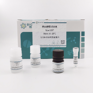Lowry法蛋白浓度测定试剂盒（1000T）