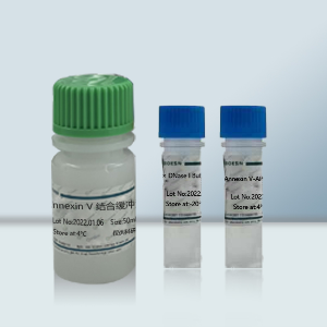 RPMI 1640培养基（含GlutaMAX-I，不含丙酮酸钠，含HEPES）