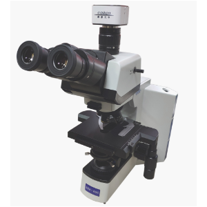 RCK-40C研究型正置生物显微镜/生物研究实验室显微镜
