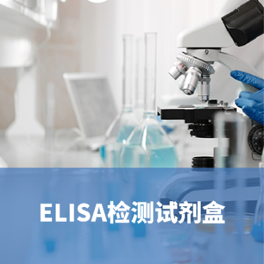 人鳞状上皮细胞癌抗原2（SCCAg-2）ELISA试剂盒