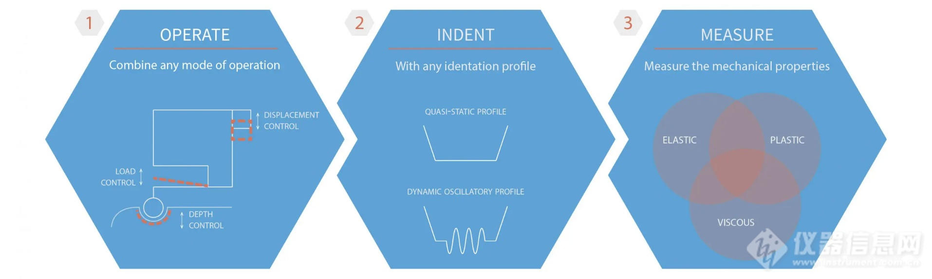 Infographic-Piuma-Chiaro-Pavone-scaled-1.png