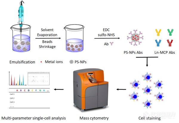 苏州医工所在质谱流式高灵敏单细胞检测研究中获进展