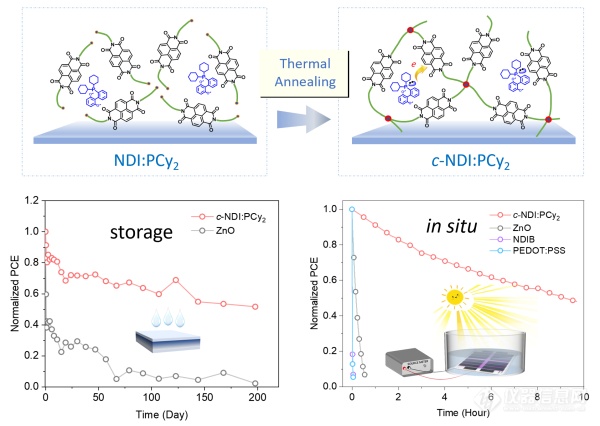 化学所等在有机光伏电池稳定性研究方面取得进展
