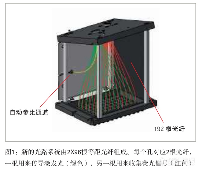 LC96优势图1.png