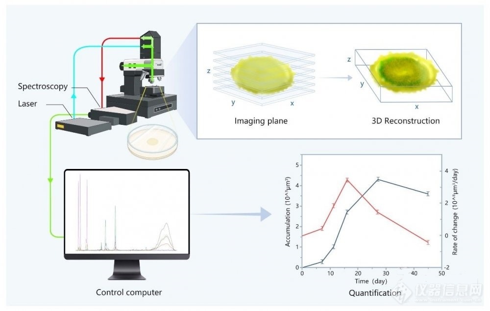 微生物代谢的原位拉曼可视化定量分析成功实现