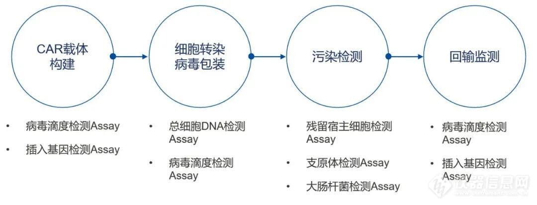 QIAcuity数字PCR为您的基因细胞治疗研究保驾护航