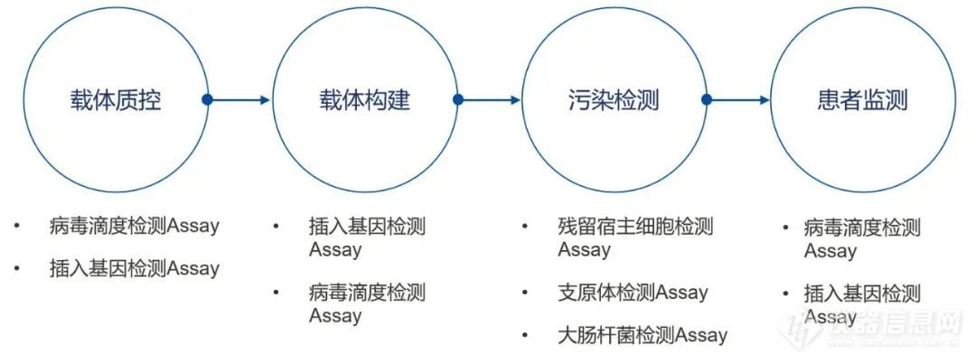 QIAcuity数字PCR为您的基因细胞治疗研究保驾护航