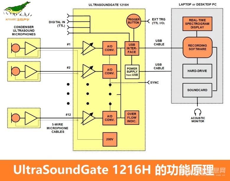 UltraSoundGate 1216H-3.jpg