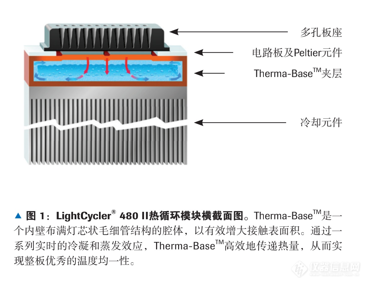 热循环模块.png