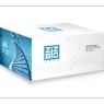数字PCR生物芯片盒（四联排）