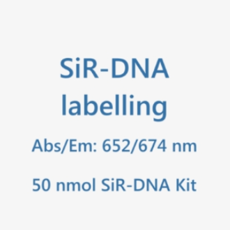 SiR-DNA 生物成像探针