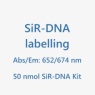 SiR-DNA 生物成像探针