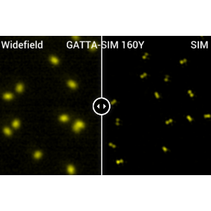 GATTA-SIM NANORULER 单分子定位显微镜标准纳米尺