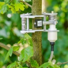 Pivot小茎干树木生长测量仪