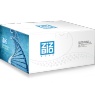 数字PCR生物芯片盒（单芯片）