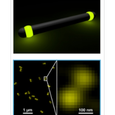 GATTA-SIM NANORULER 单分子定位显微镜标准纳米尺
