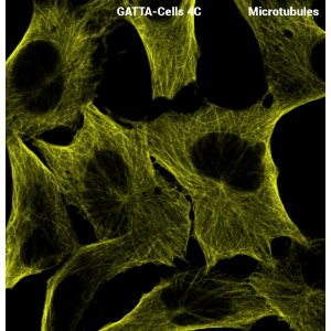 GATTA-CELLS 荧光标准片