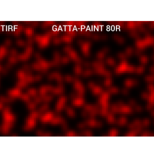 GATTA-PAINT 纳米尺