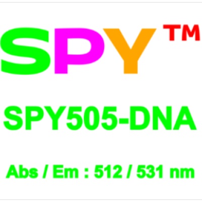 SPY505活细胞DNA荧光探针
