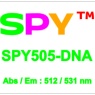 SPY505活细胞DNA荧光探针