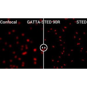 GATTA-STED NANORULER 受激辐射损耗超分辨标准纳米尺