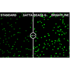 荧光珠Fluorescent beads